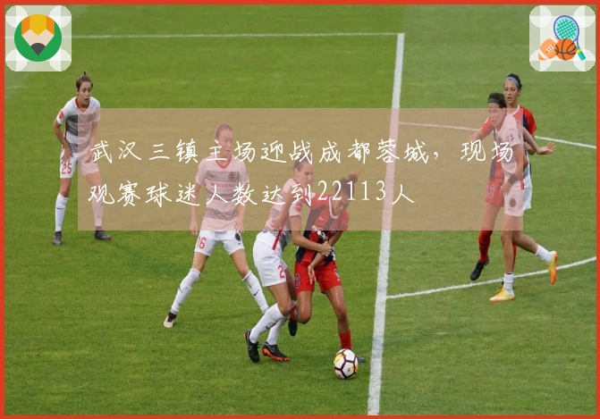 武汉三镇主场迎战成都蓉城，现场观赛球迷人数达到22113人